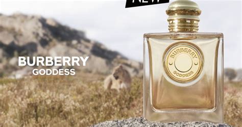 burberry free sample|Burberry goddess sample.